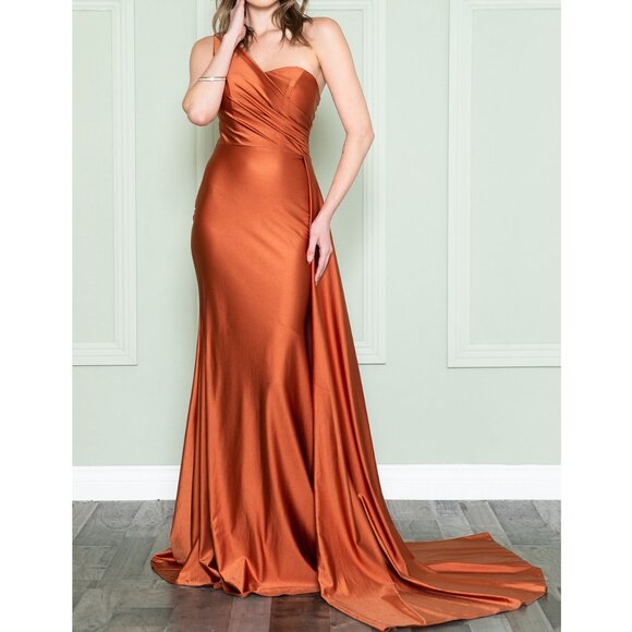 Burnt Orange One Shoulder Sweetheart Neck Formal Prom Evening Bridesmaid Dress 4 - Picture 1 of 4